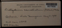 Image Associated With the Occurence